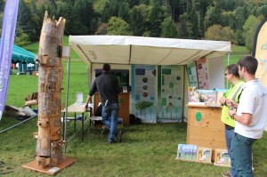 fete du bois 3