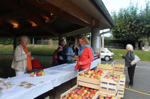 pommes 1