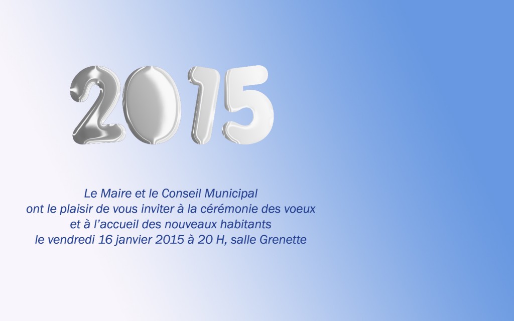 Voeux 2015 copie