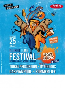 affiche festival 2015