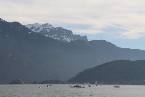 IMG_3981