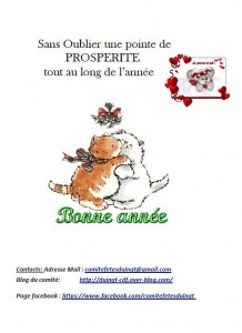 Voeux CDFD 2016 2