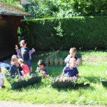 Le fleurissement à l'école maternelle.