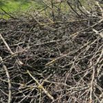 Broyage de branchages à domicile sur le Grand Annecy